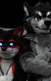 Bild: Dakoru, Fursuiter: Blackie & Tsume