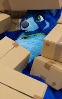 Bild: Maru, Fursuiter: Braket